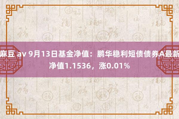 麻豆 av 9月13日基金净值：鹏华稳利短债债券A最新净值1.1536，涨0.01%