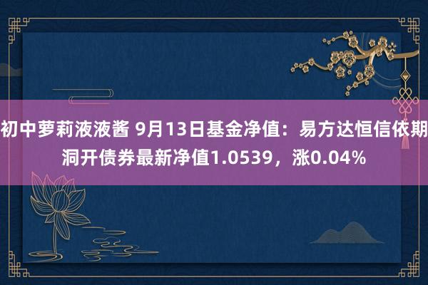 初中萝莉液液酱 9月13日基金净值：易方达恒信依期洞开债券最新净值1.0539，涨0.04%