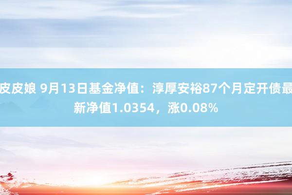 皮皮娘 9月13日基金净值：淳厚安裕87个月定开债最新净值1.0354，涨0.08%