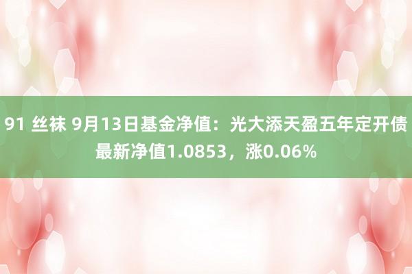 91 丝袜 9月13日基金净值：光大添天盈五年定开债最新净值1.0853，涨0.06%