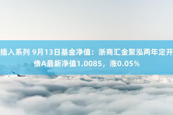 插入系列 9月13日基金净值：浙商汇金聚泓两年定开债A最新净值1.0085，涨0.05%