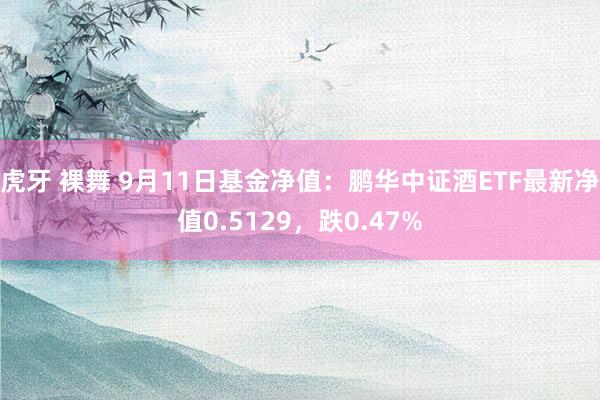 虎牙 裸舞 9月11日基金净值：鹏华中证酒ETF最新净值0.5129，跌0.47%