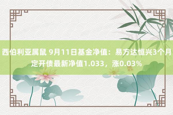 西伯利亚属鼠 9月11日基金净值：易方达恒兴3个月定开债最新净值1.033，涨0.03%