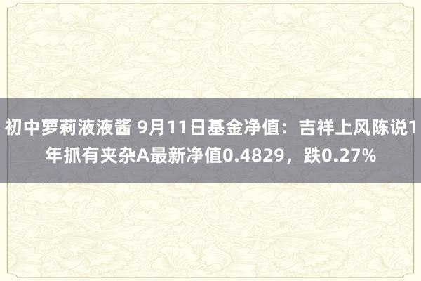 初中萝莉液液酱 9月11日基金净值：吉祥上风陈说1年抓有夹杂A最新净值0.4829，跌0.27%