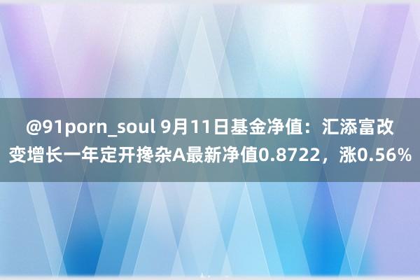 @91porn_soul 9月11日基金净值：汇添富改变增长一年定开搀杂A最新净值0.8722，涨0.56%