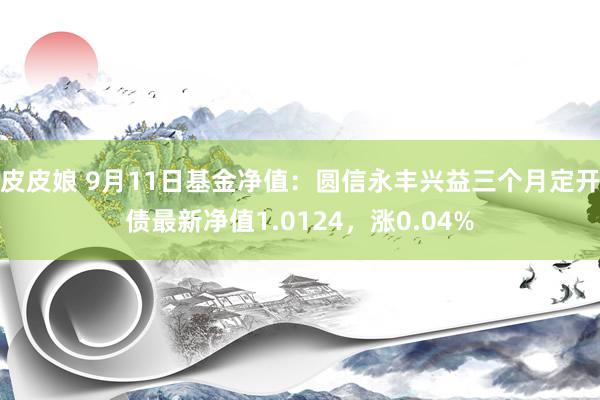 皮皮娘 9月11日基金净值：圆信永丰兴益三个月定开债最新净值1.0124，涨0.04%