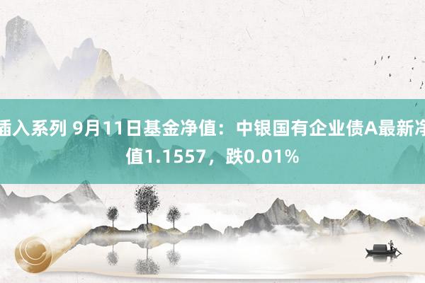 插入系列 9月11日基金净值：中银国有企业债A最新净值1.1557，跌0.01%