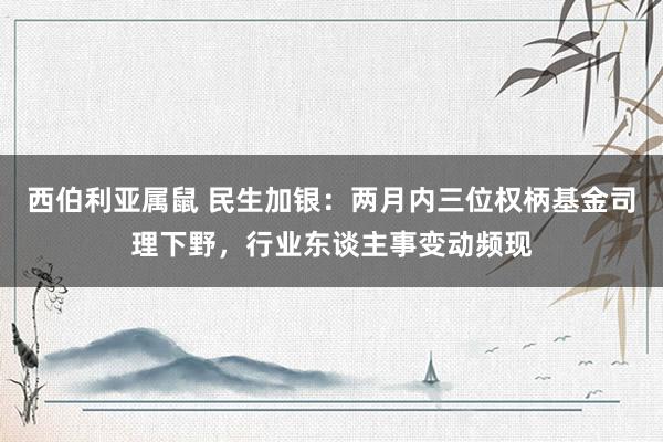 西伯利亚属鼠 民生加银：两月内三位权柄基金司理下野，行业东谈主事变动频现