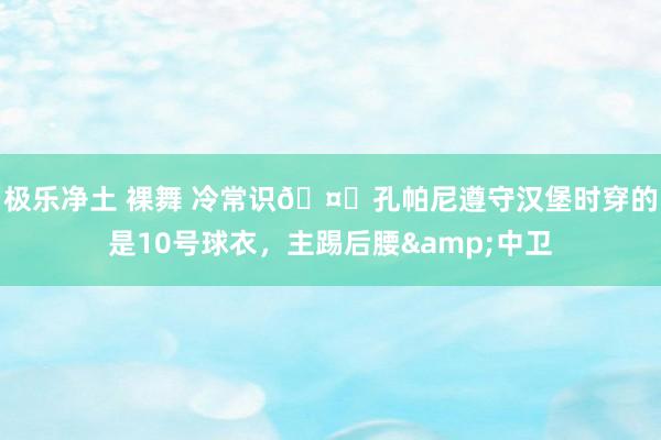 极乐净土 裸舞 冷常识🤔孔帕尼遵守汉堡时穿的是10号球衣，主踢后腰&中卫