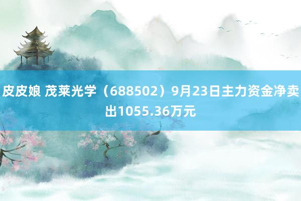 皮皮娘 茂莱光学（688502）9月23日主力资金净卖出1055.36万元