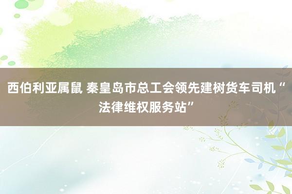 西伯利亚属鼠 秦皇岛市总工会领先建树货车司机“法律维权服务站”