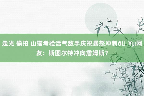 走光 偷拍 山猫考验活气敌手庆祝暴怒冲刺🥵网友：斯图尔特冲向詹姆斯？