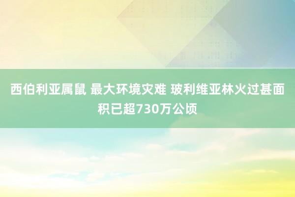 西伯利亚属鼠 最大环境灾难 玻利维亚林火过甚面积已超730万公顷