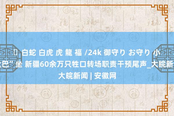 ✨白蛇 白虎 虎 龍 福 /24k 御守り お守り 小羊也有“大巴”坐 新疆60余万只牲口转场职责干预尾声_大皖新闻 | 安徽网