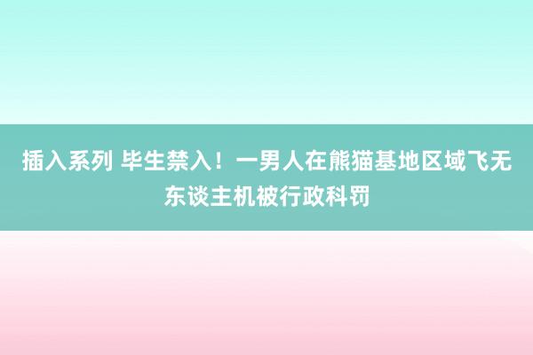 插入系列 毕生禁入！一男人在熊猫基地区域飞无东谈主机被行政科罚