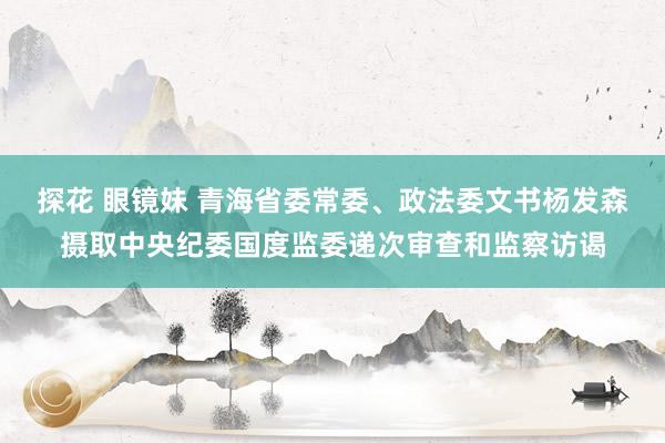 探花 眼镜妹 青海省委常委、政法委文书杨发森摄取中央纪委国度监委递次审查和监察访谒