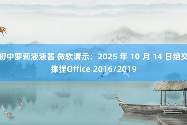 初中萝莉液液酱 微软请示：2025 年 10 月 14 日绝交撑捏Office 2016/2019