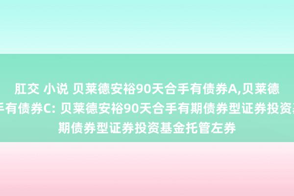 肛交 小说 贝莱德安裕90天合手有债券A,贝莱德安裕90天合手有债券C: 贝莱德安裕90天合手有期债券型证券投资基金托管左券