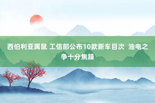 西伯利亚属鼠 工信部公布10款新车目次  油电之争十分焦躁