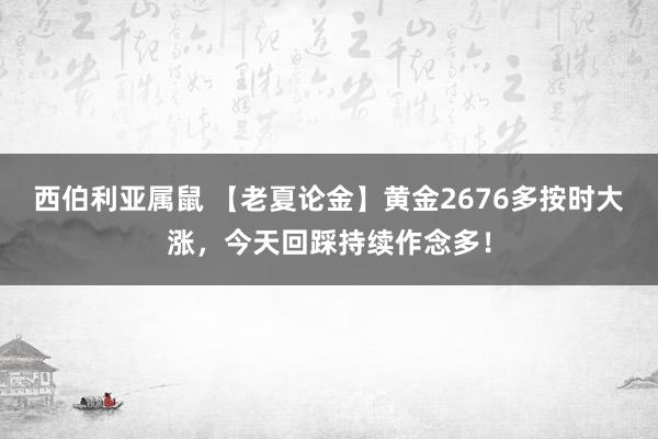 西伯利亚属鼠 【老夏论金】黄金2676多按时大涨，今天回踩持续作念多！