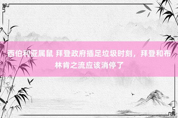 西伯利亚属鼠 拜登政府插足垃圾时刻，拜登和布林肯之流应该消停了