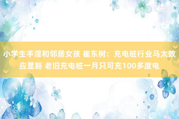 小学生手淫和邻居女孩 崔东树：充电桩行业马太效应显豁 老旧充电桩一月只可充100多度电