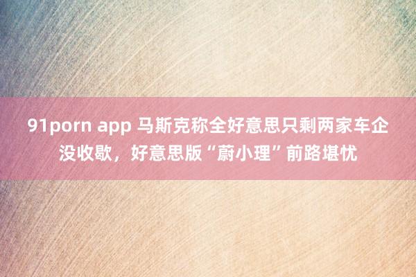 91porn app 马斯克称全好意思只剩两家车企没收歇，好意思版“蔚小理”前路堪忧