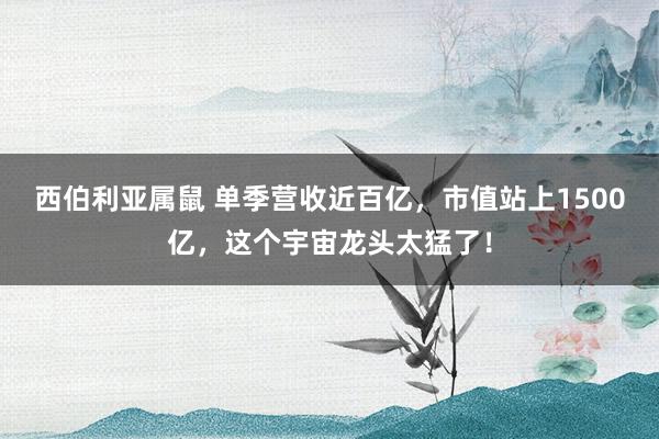 西伯利亚属鼠 单季营收近百亿，市值站上1500亿，这个宇宙龙头太猛了！