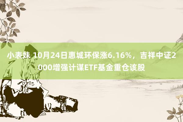 小表妹 10月24日惠城环保涨6.16%，吉祥中证2000增强计谋ETF基金重仓该股