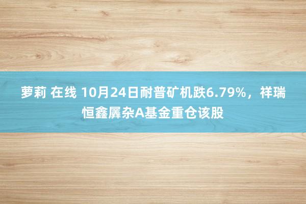 萝莉 在线 10月24日耐普矿机跌6.79%，祥瑞恒鑫羼杂A基金重仓该股