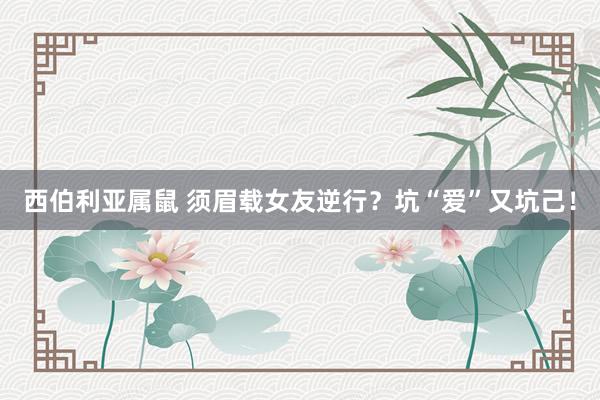 西伯利亚属鼠 须眉载女友逆行？坑“爱”又坑己！