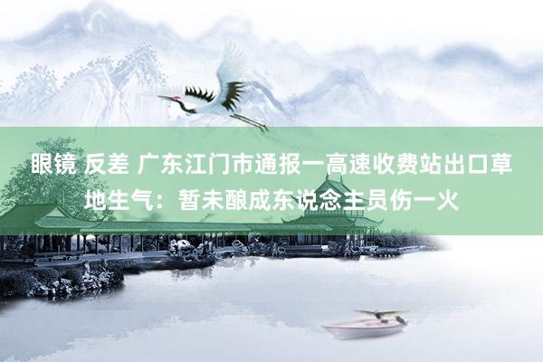 眼镜 反差 广东江门市通报一高速收费站出口草地生气：暂未酿成东说念主员伤一火