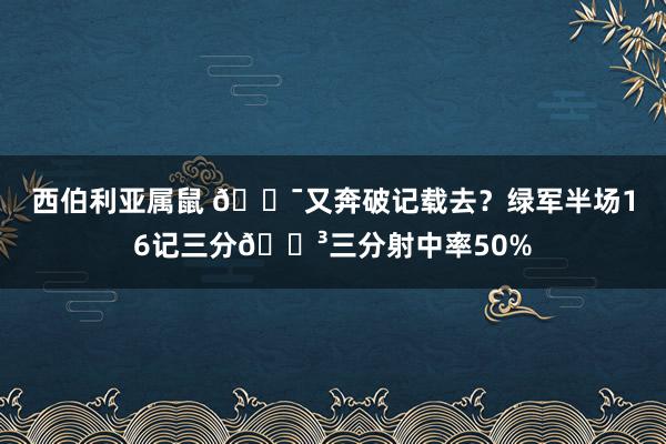 西伯利亚属鼠 🎯又奔破记载去？绿军半场16记三分😳三分射中率50%