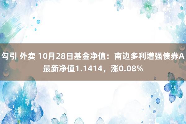 勾引 外卖 10月28日基金净值：南边多利增强债券A最新净值1.1414，涨0.08%