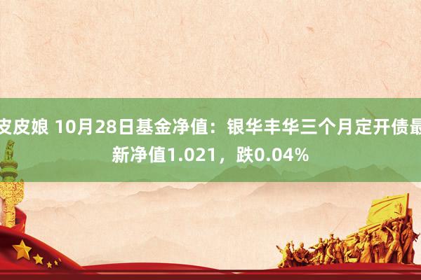 皮皮娘 10月28日基金净值：银华丰华三个月定开债最新净值1.021，跌0.04%