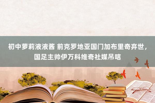 初中萝莉液液酱 前克罗地亚国门加布里奇弃世，国足主帅伊万科维奇社媒吊唁