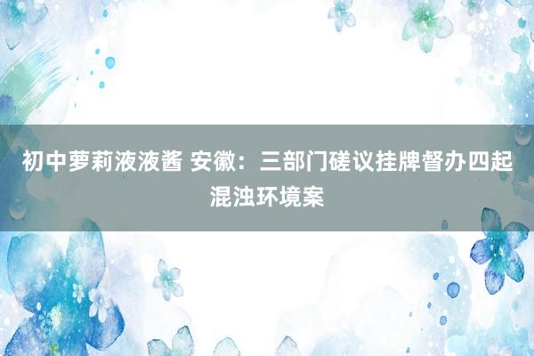 初中萝莉液液酱 安徽：三部门磋议挂牌督办四起混浊环境案