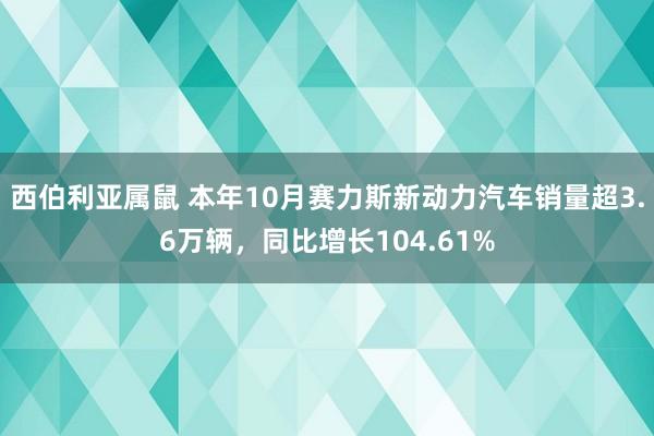 西伯利亚属鼠 本年10月赛力斯新动力汽车销量超3.6万辆，同比增长104.61%