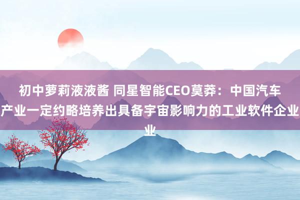 初中萝莉液液酱 同星智能CEO莫莽：中国汽车产业一定约略培养出具备宇宙影响力的工业软件企业