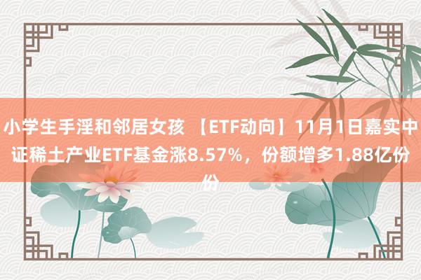 小学生手淫和邻居女孩 【ETF动向】11月1日嘉实中证稀土产业ETF基金涨8.57%，份额增多1.88亿份