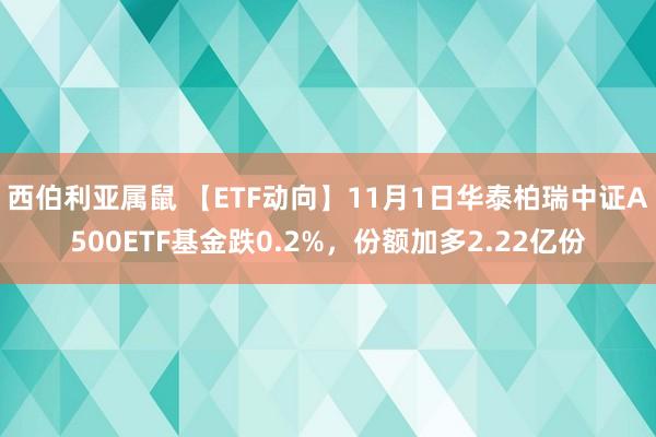 西伯利亚属鼠 【ETF动向】11月1日华泰柏瑞中证A500ETF基金跌0.2%，份额加多2.22亿份