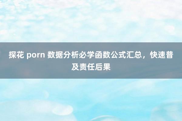 探花 porn 数据分析必学函数公式汇总，快速普及责任后果