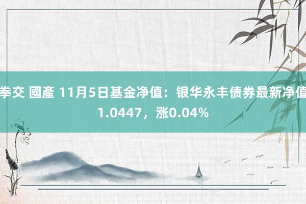 拳交 國產 11月5日基金净值：银华永丰债券最新净值1.0447，涨0.04%