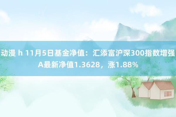 动漫 h 11月5日基金净值：汇添富沪深300指数增强A最新净值1.3628，涨1.88%