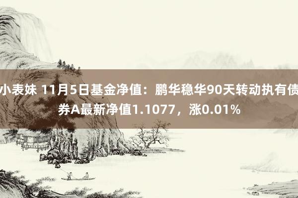 小表妹 11月5日基金净值：鹏华稳华90天转动执有债券A最新净值1.1077，涨0.01%