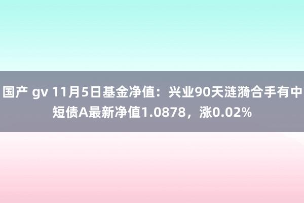 国产 gv 11月5日基金净值：兴业90天涟漪合手有中短债A最新净值1.0878，涨0.02%