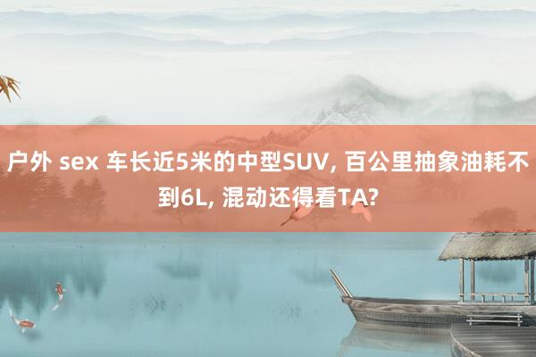 户外 sex 车长近5米的中型SUV, 百公里抽象油耗不到6L, 混动还得看TA?