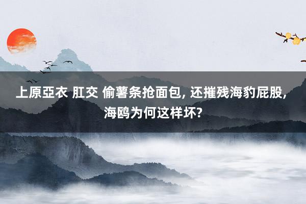 上原亞衣 肛交 偷薯条抢面包， 还摧残海豹屁股， 海鸥为何这样坏?