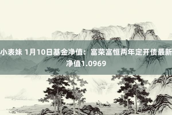 小表妹 1月10日基金净值：富荣富恒两年定开债最新净值1.0969