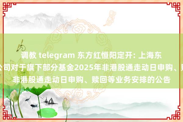 调教 telegram 东方红恒阳定开: 上海东方证券钞票处分有限公司对于旗下部分基金2025年非港股通走动日申购、赎回等业务安排的公告